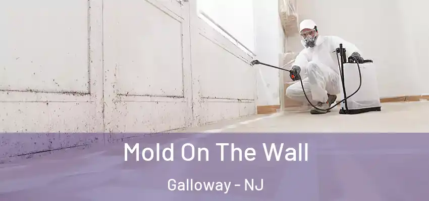 Mold On The Wall Galloway - NJ