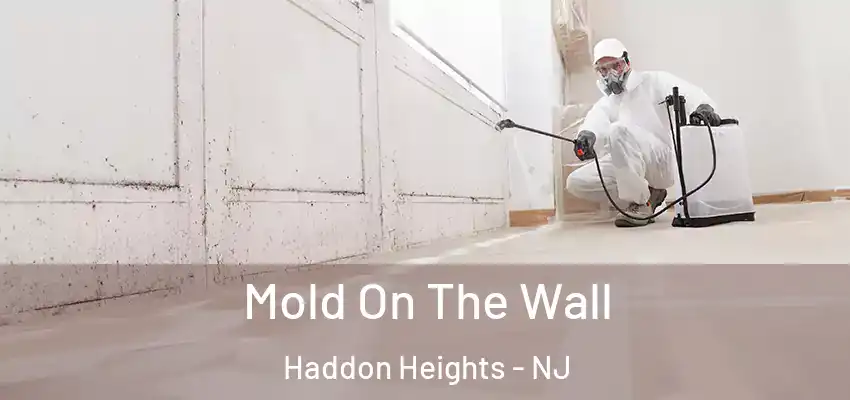  Mold On The Wall Haddon Heights - NJ
