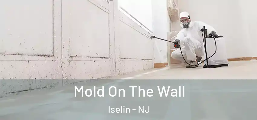  Mold On The Wall Iselin - NJ