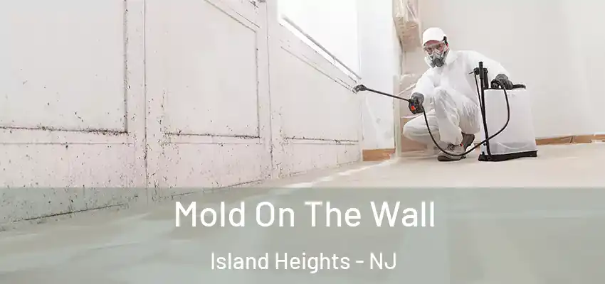 Mold On The Wall Island Heights - NJ