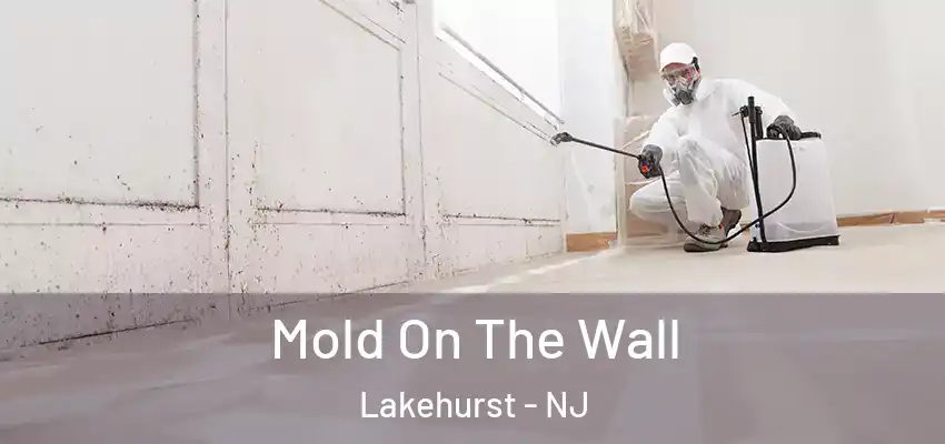  Mold On The Wall Lakehurst - NJ