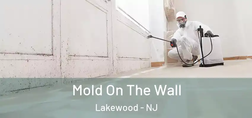 Mold On The Wall Lakewood - NJ