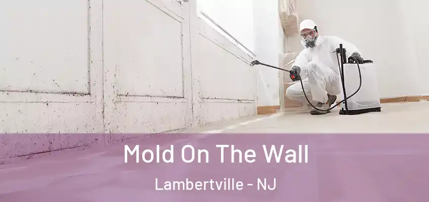  Mold On The Wall Lambertville - NJ