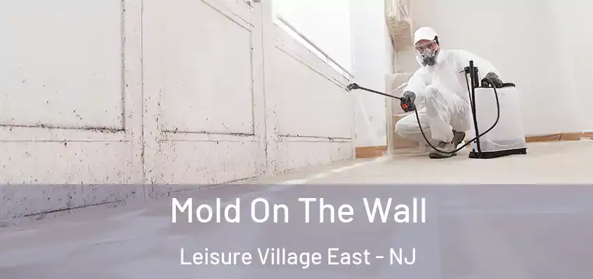 Mold On The Wall Leisure Village East - NJ