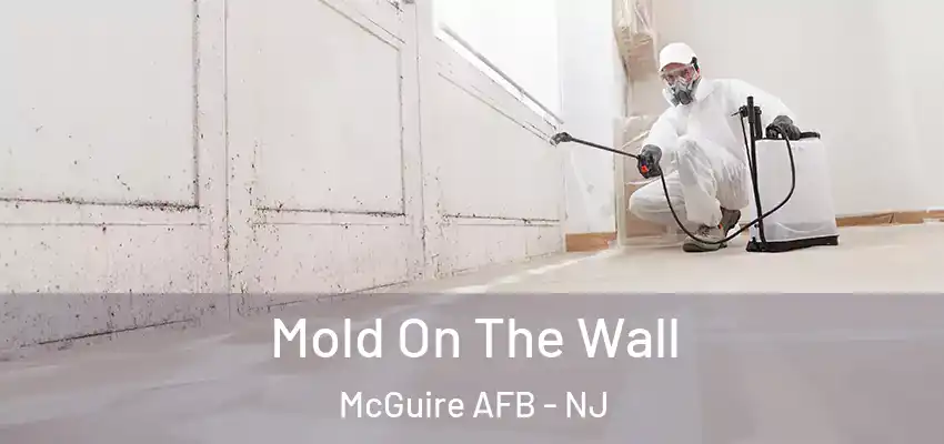 Mold On The Wall McGuire AFB - NJ