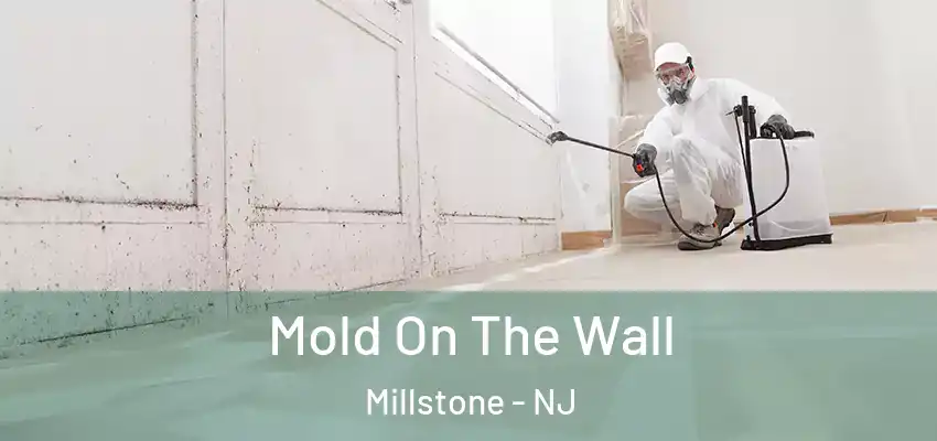  Mold On The Wall Millstone - NJ