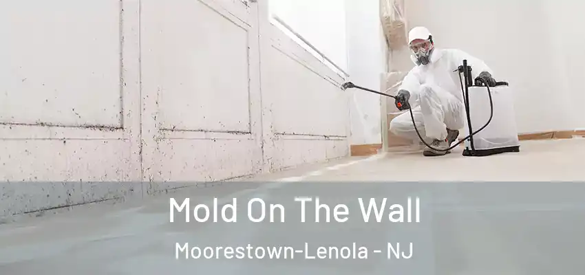 Mold On The Wall Moorestown-Lenola - NJ