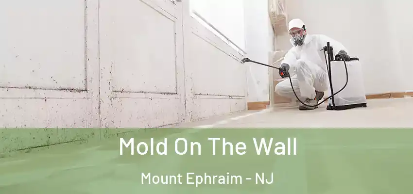  Mold On The Wall Mount Ephraim - NJ