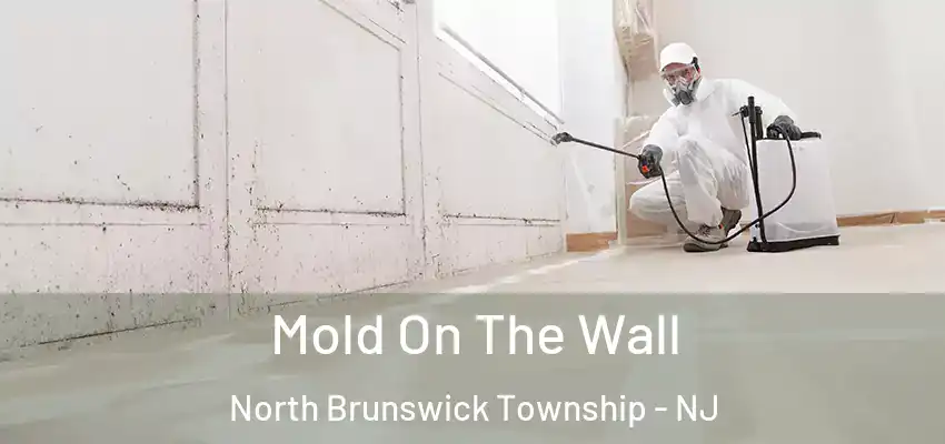 Mold On The Wall North Brunswick Township - NJ