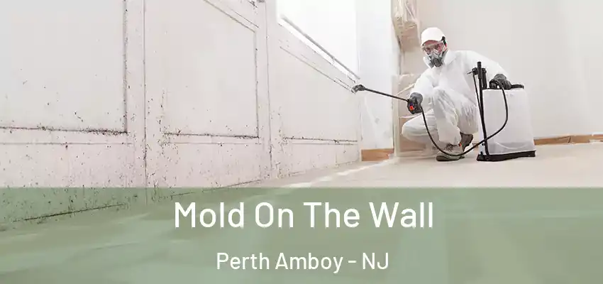  Mold On The Wall Perth Amboy - NJ