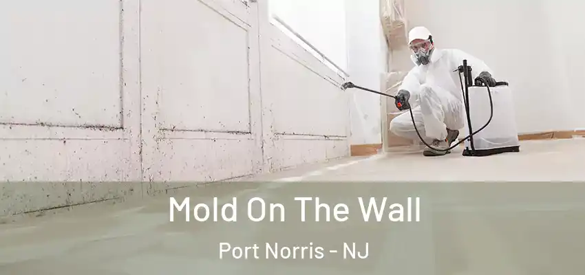 Mold On The Wall Port Norris - NJ