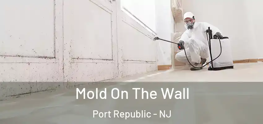  Mold On The Wall Port Republic - NJ