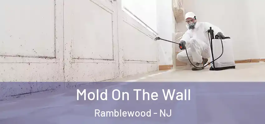 Mold On The Wall Ramblewood - NJ