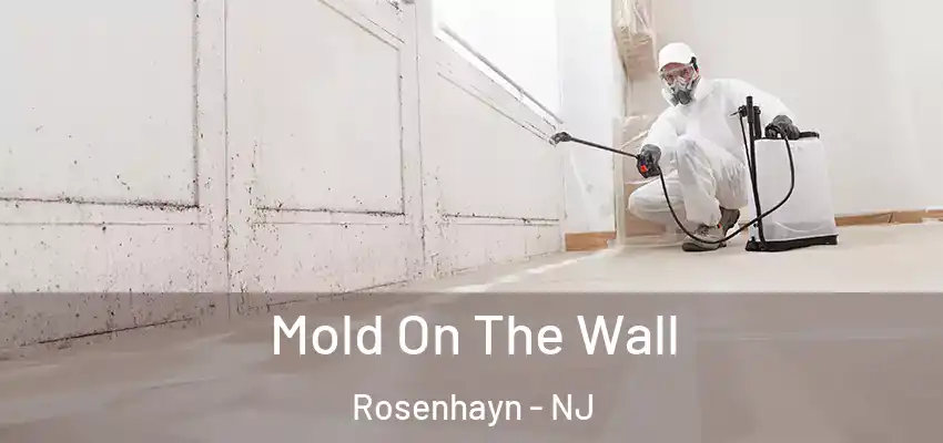 Mold On The Wall Rosenhayn - NJ
