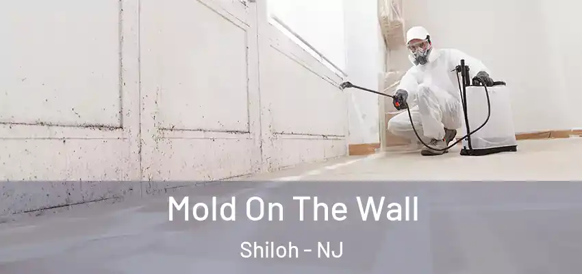  Mold On The Wall Shiloh - NJ