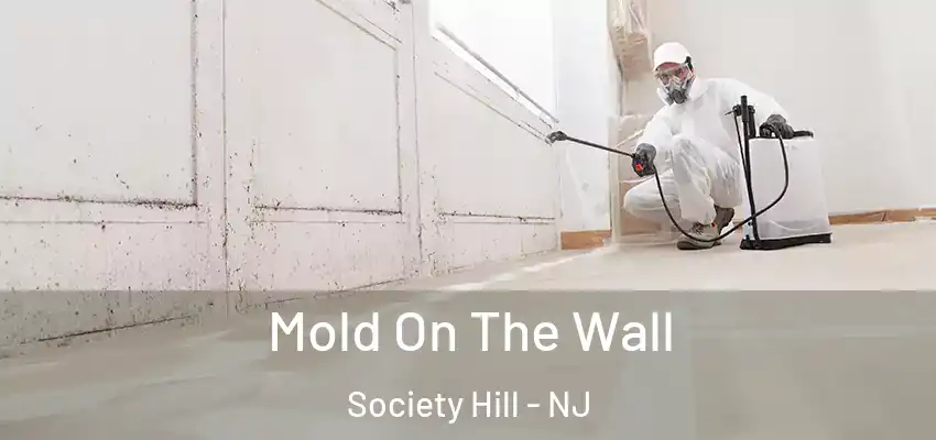 Mold On The Wall Society Hill - NJ