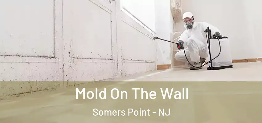 Mold On The Wall Somers Point - NJ