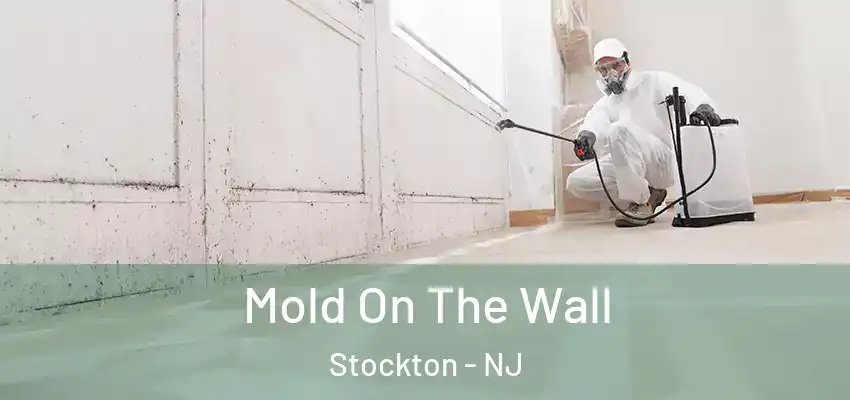 Mold On The Wall Stockton - NJ