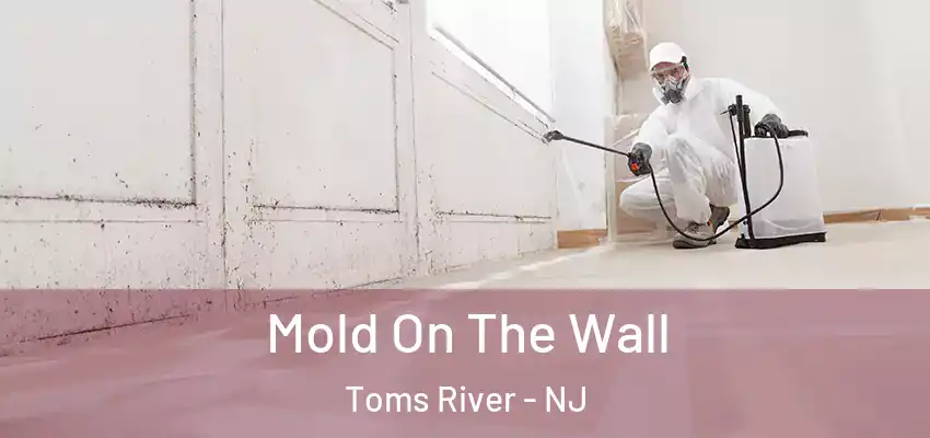  Mold On The Wall Toms River - NJ
