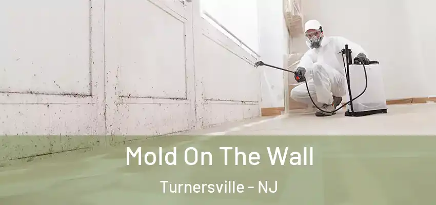 Mold On The Wall Turnersville - NJ