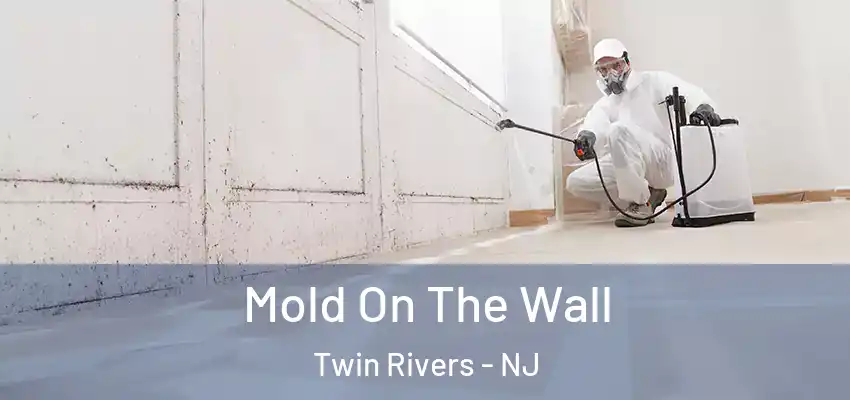 Mold On The Wall Twin Rivers - NJ