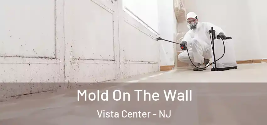 Mold On The Wall Vista Center - NJ