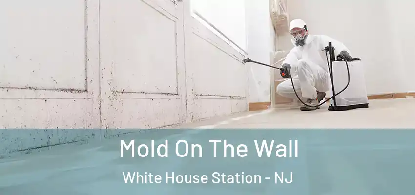 Mold On The Wall White House Station - NJ