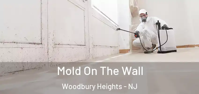 Mold On The Wall Woodbury Heights - NJ