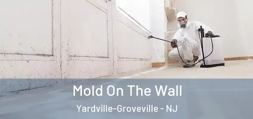 Mold On The Wall Yardville-Groveville - NJ