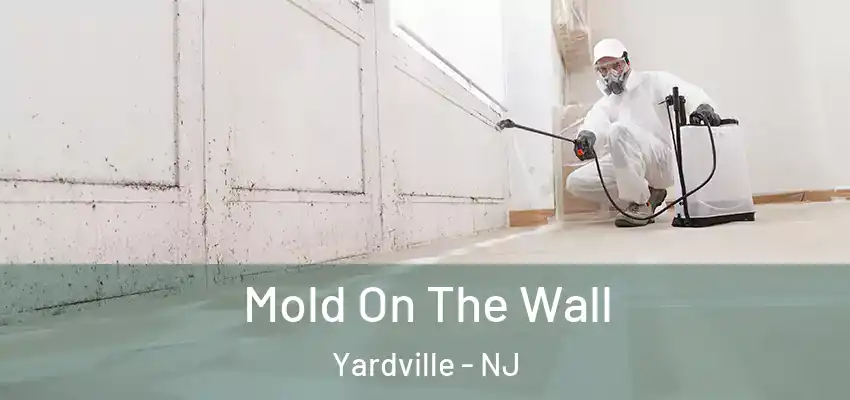 Mold On The Wall Yardville - NJ