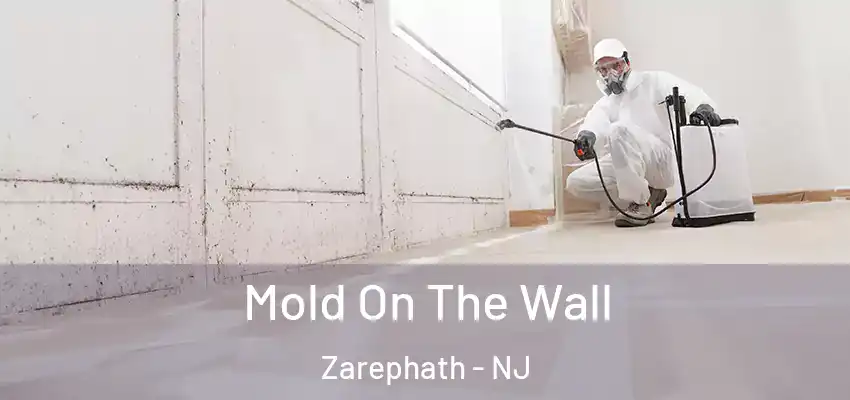  Mold On The Wall Zarephath - NJ