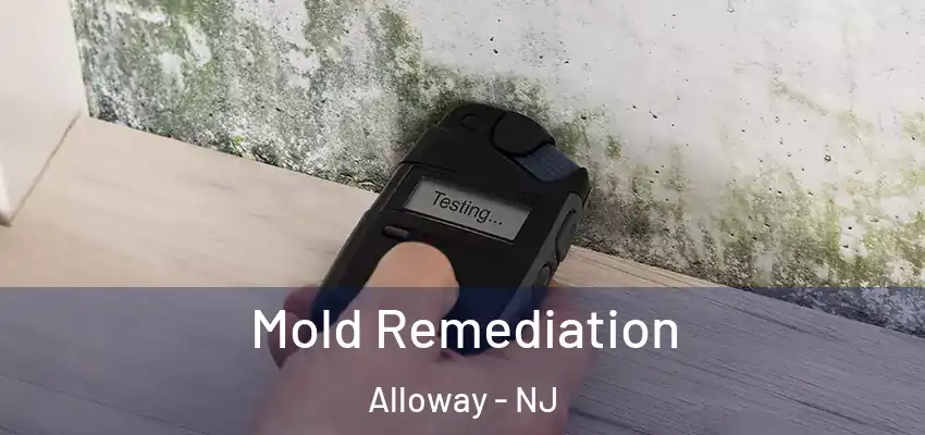  Mold Remediation Alloway - NJ