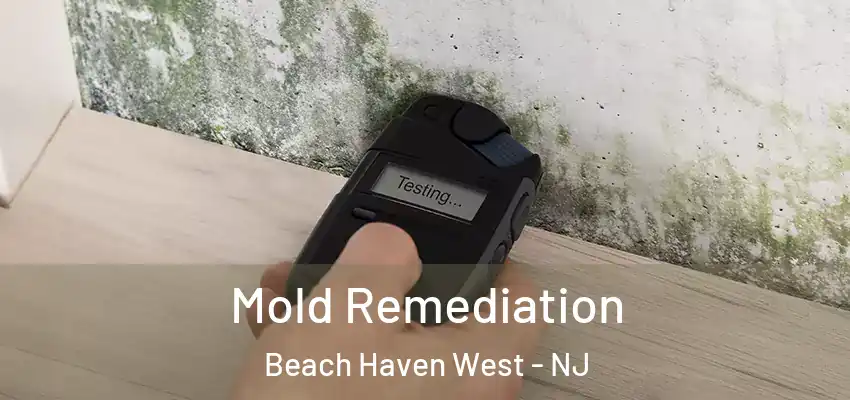  Mold Remediation Beach Haven West - NJ