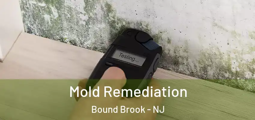  Mold Remediation Bound Brook - NJ