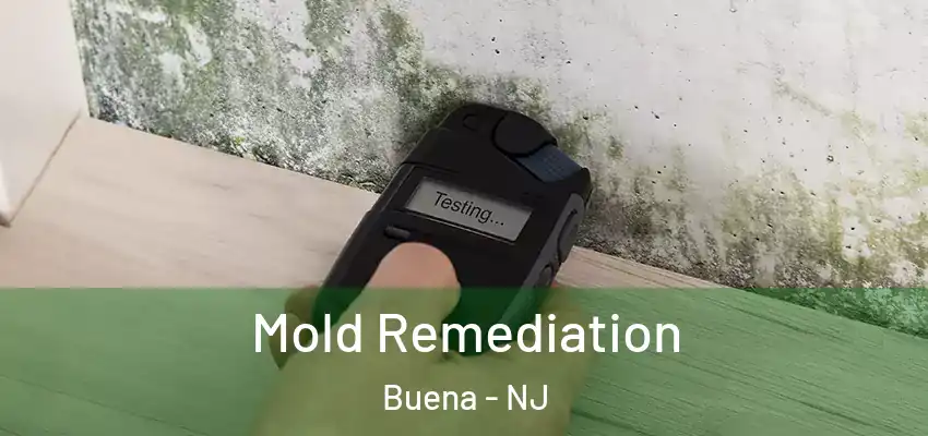 Mold Remediation Buena - NJ