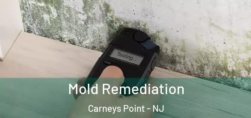  Mold Remediation Carneys Point - NJ