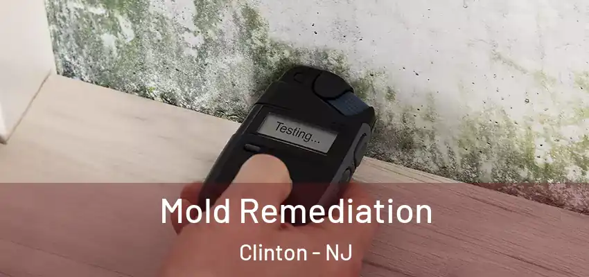 Mold Remediation Clinton - NJ