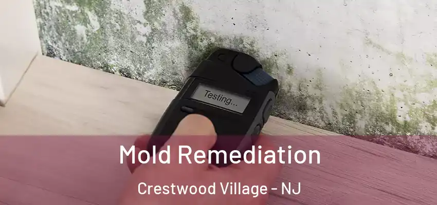 Mold Remediation Crestwood Village - NJ