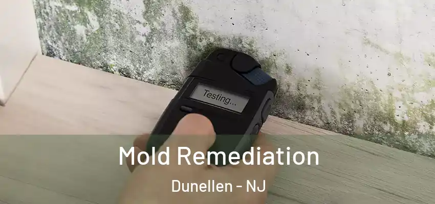  Mold Remediation Dunellen - NJ