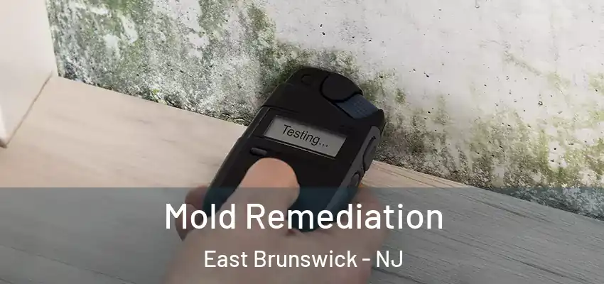 Mold Remediation East Brunswick - NJ