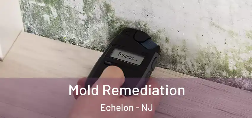  Mold Remediation Echelon - NJ