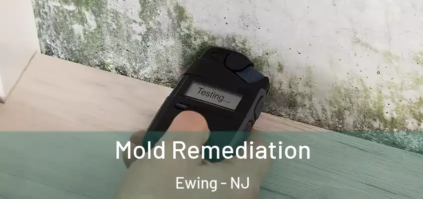  Mold Remediation Ewing - NJ