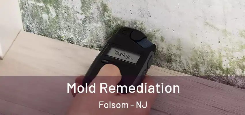 Mold Remediation Folsom - NJ