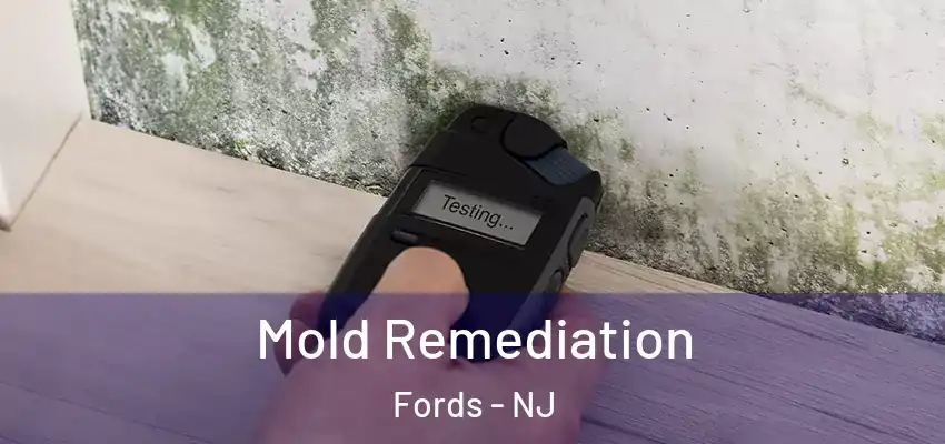  Mold Remediation Fords - NJ