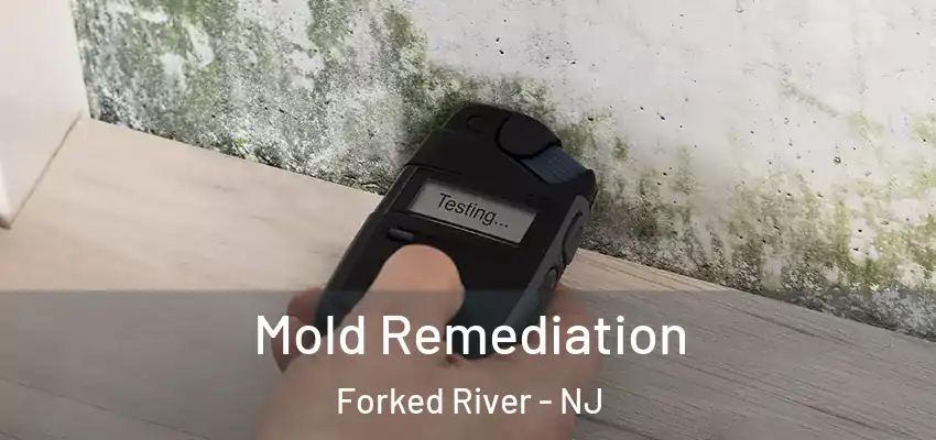  Mold Remediation Forked River - NJ