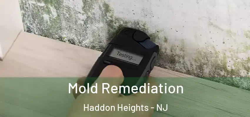  Mold Remediation Haddon Heights - NJ