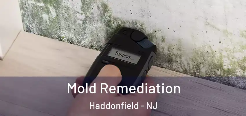  Mold Remediation Haddonfield - NJ