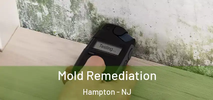  Mold Remediation Hampton - NJ