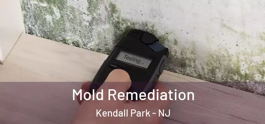  Mold Remediation Kendall Park - NJ