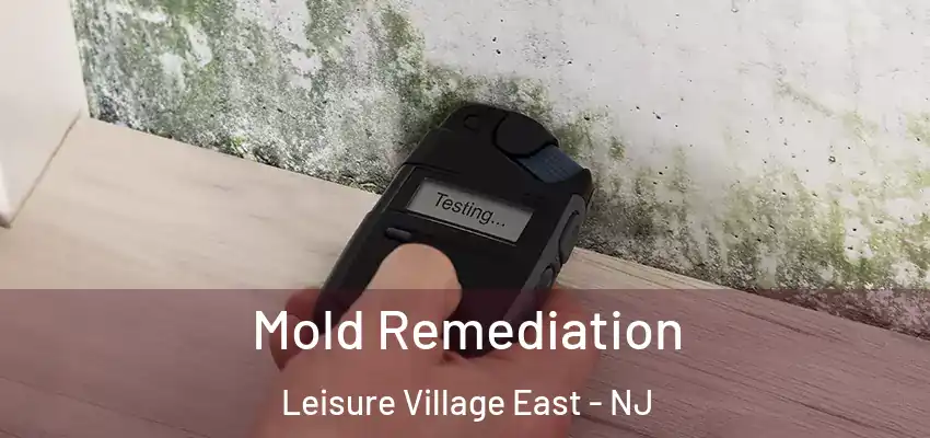 Mold Remediation Leisure Village East - NJ